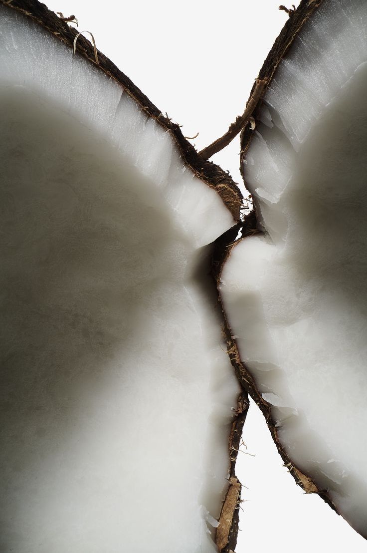 The Science Behind Coconut Milk Oil for Baby Massage