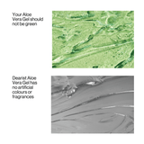 Aloe Vera Pulp Gel