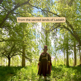 Apricot Kernel Oil: Cold Pressed