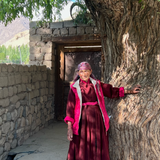 Apricot Kernel Oil: Cold Pressed